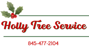 A christmas tree service logo with the words merry tree services in red.