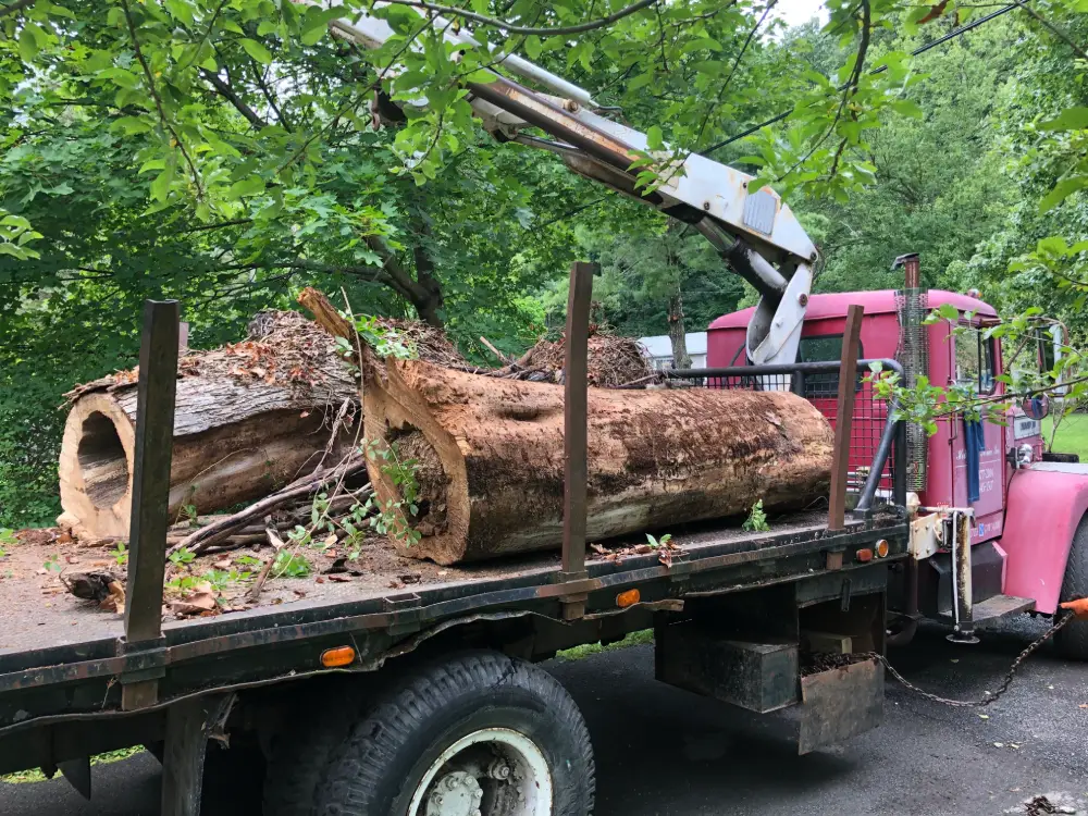 A truck with a crane on it's back and trees in the background