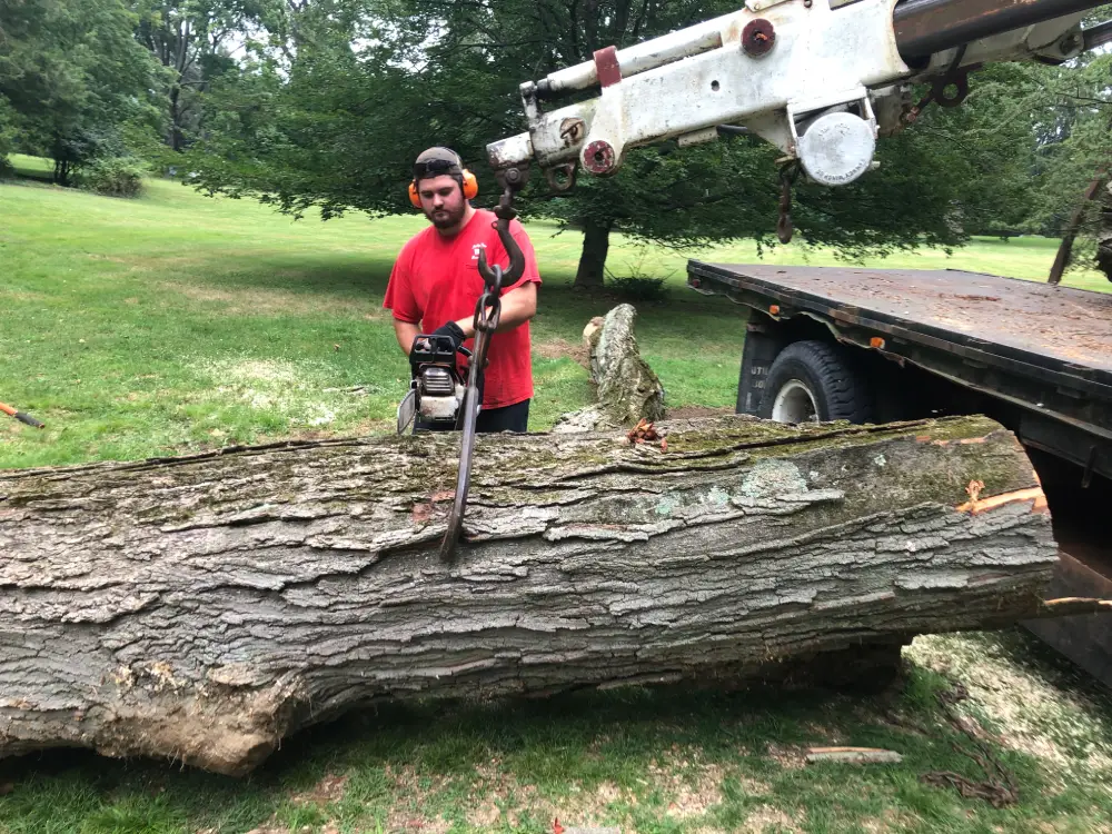 A man holding a chain saw next to a tree.